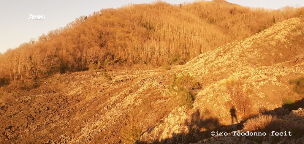 Il Gran Cono del Vesuvio che si scorge dal Fosso della Vetrana. (foto di C.Teodonno)