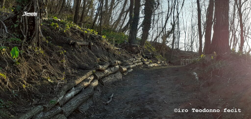 Il sentiero n°9 (foto di C.Teodonno)