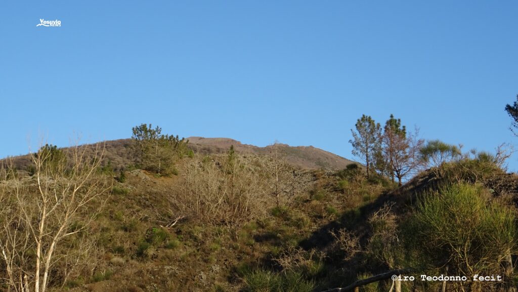 Il Gran Cono del Vesuvio che si scorge dal Fosso della Vetrana. (foto di C.Teodonno)